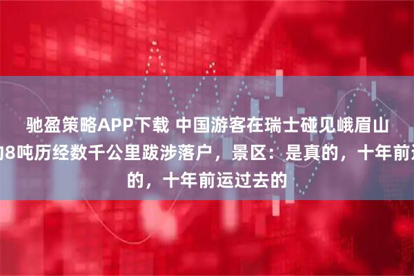 驰盈策略APP下载 中国游客在瑞士碰见峨眉山石,重约8吨历经数千公里跋涉落户,景区:是真的,十年前运过去的