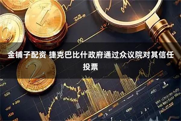 金铺子配资 捷克巴比什政府通过众议院对其信任投票