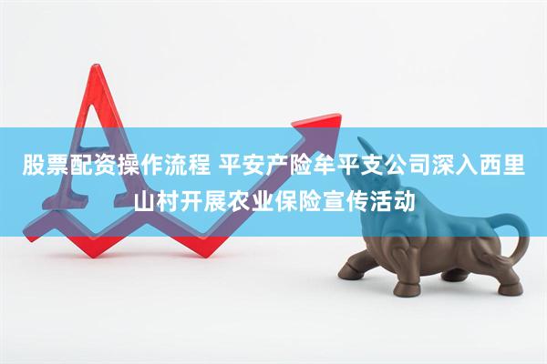 股票配资操作流程 平安产险牟平支公司深入西里山村开展农业保险宣传活动